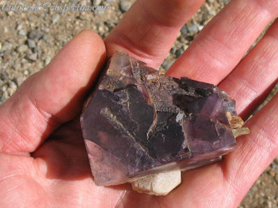 Colorado Fluorite