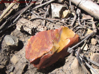 Colorado Jasper