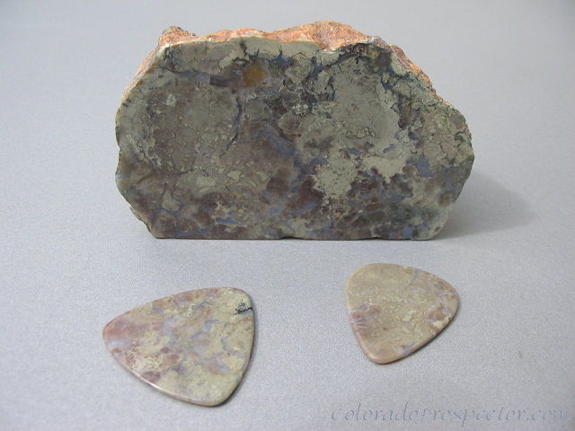 Coprolite specimen with 2 guitar picks set