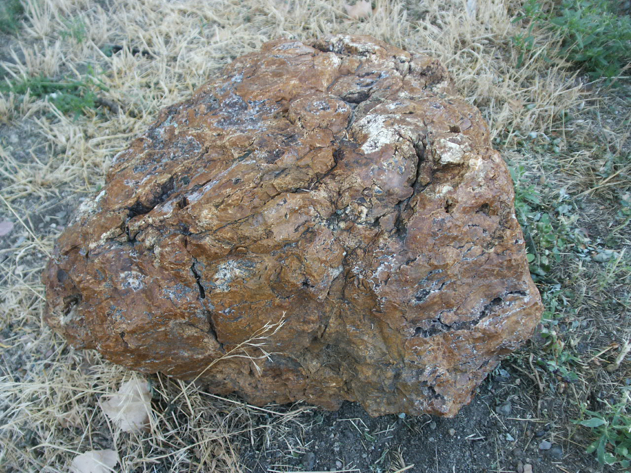 Attached Image