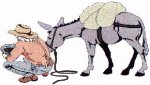 Gold Prospectors of the Rockies
